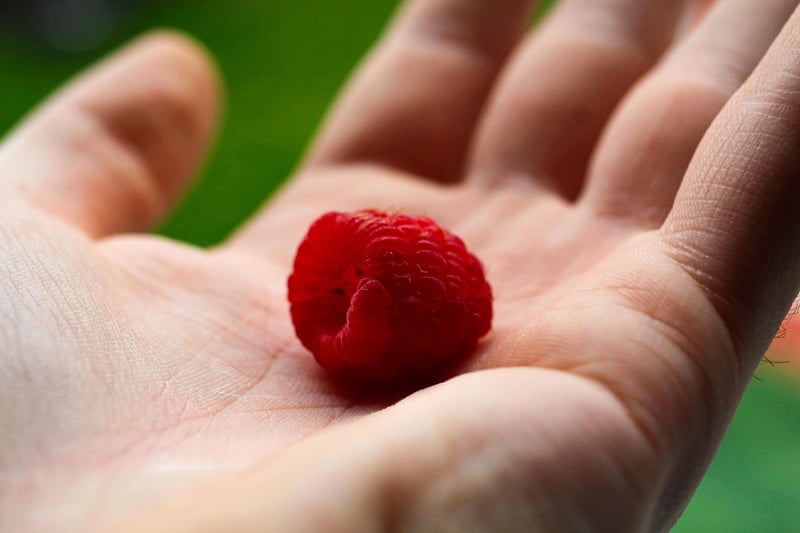 Self-Nurturing Image
